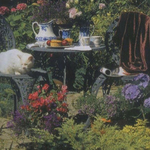 Meet your Posher, Yumnah